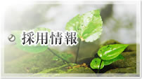 採用情報